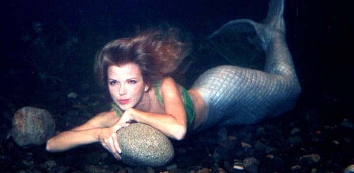 mermaid swimming - the aquatic creature. mermaids can be bad luck.